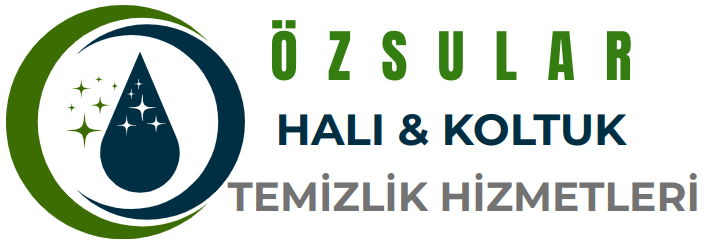 Bizim Halı Yıkama Logo